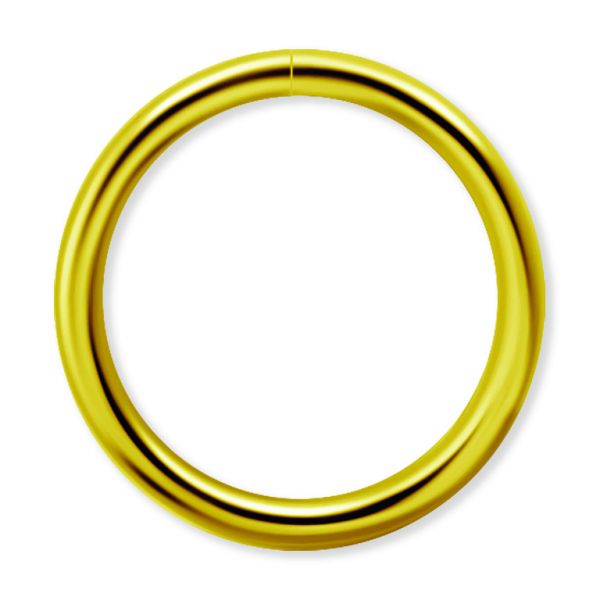 Gold continuos ring