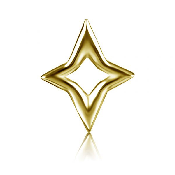 SOLID GOLD STAR-SHAPED TOP
