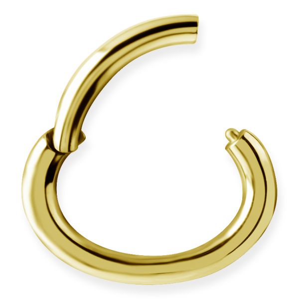 Oval piercing clicker rook