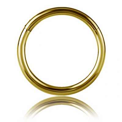 VERGOLDETER PIERCINGKREIS