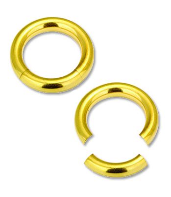 SEGMENTRING