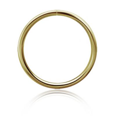 ANILLO CONTINUO DE NARIZ EN ORO