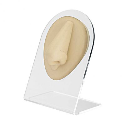 COUNTER DISPLAY FOR PIERCING JEWELRY