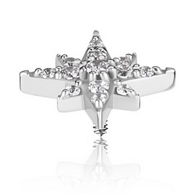 SPARE ACCESSORY WITH STAR AND CRYSTALS