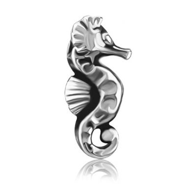 SEAHORSE LABRET PIERCING