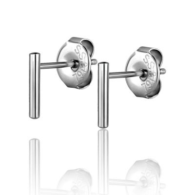 PAIR OF EARRINGS WITH STEEL SEGMENT