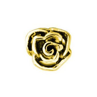 ROSE FÜR ANCHOR