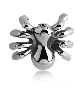 SPINNE