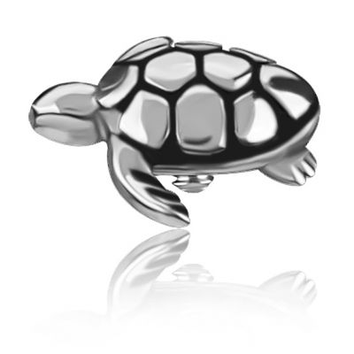 TURTLE PIERCING REPLACEMENT